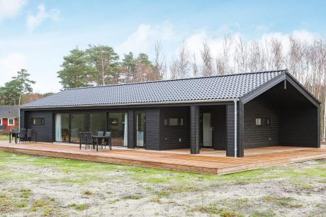 Holiday home Denmark - : 