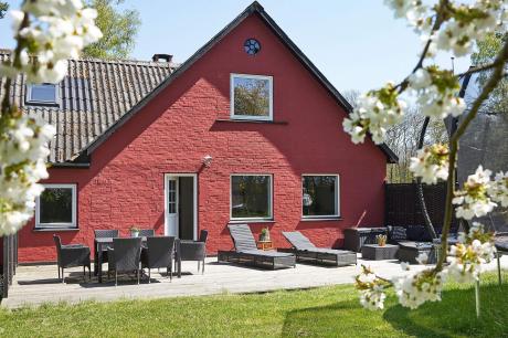 Vakantiehuis Denemarken - : 