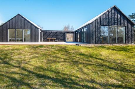 Holiday home Denmark - : 