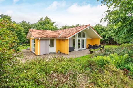 Holiday home Denmark - : 