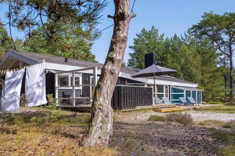 Holiday home Denmark - : 