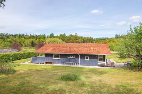 Holiday home Denmark - : 