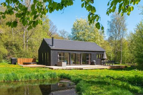 Holiday home Denmark - : 