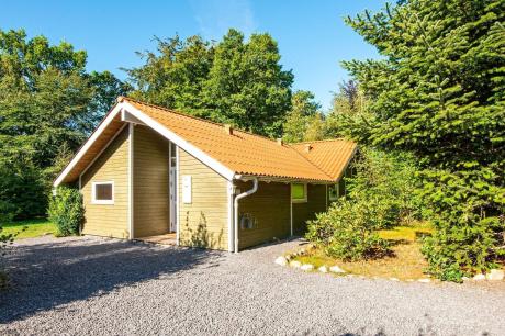 Holiday home Denmark - : 