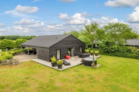 Holiday home Denmark - : 