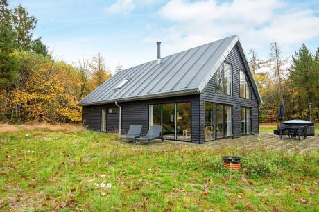 Holiday home Denmark - : 