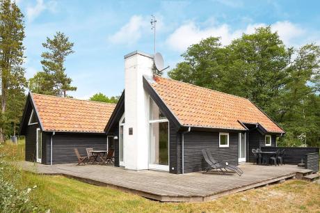 Vakantiehuis Denemarken - : 