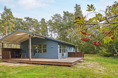 Holiday home Denmark - : 