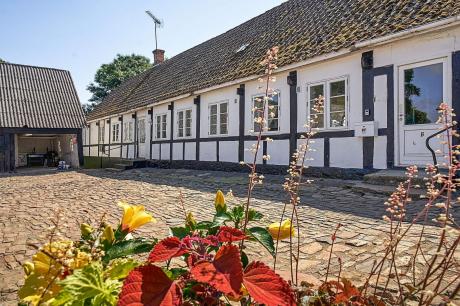 Ferienhaus Denemarken - : 