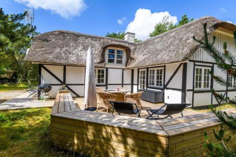 Vakantiehuis Denemarken - : 