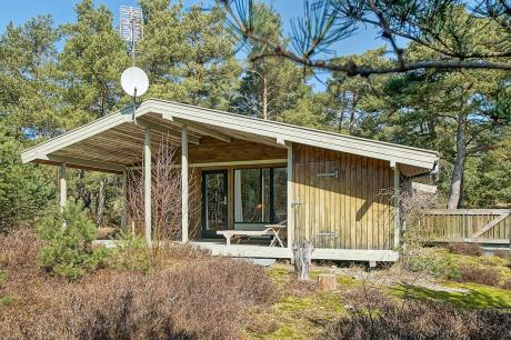 Holiday home Denmark - : 