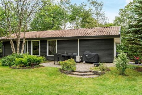 Ferienhaus Denemarken - : 