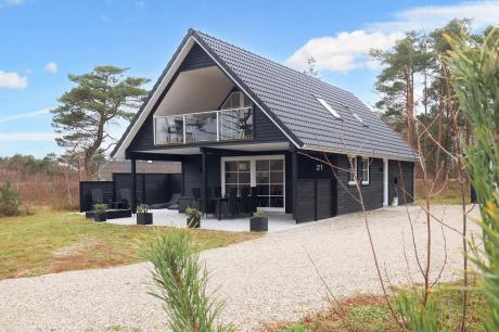 Holiday home Denmark - : 