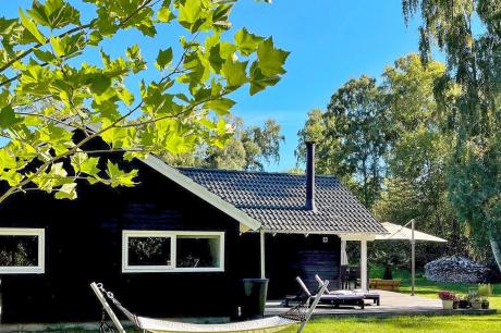 Holiday home Denmark - : 