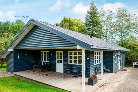 Holiday home Denmark - : 