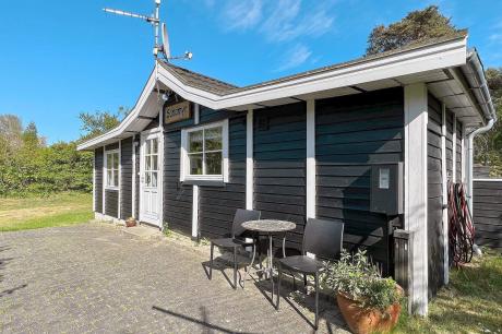 Holiday home Denmark - : 