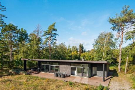 Holiday home Denmark - : 