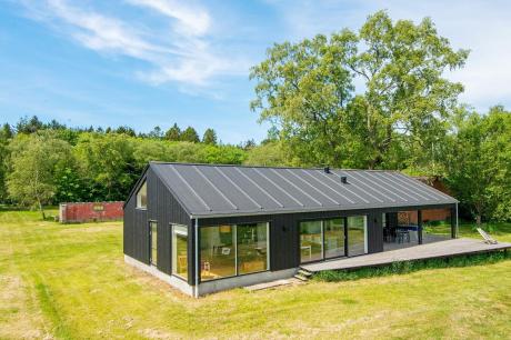 Holiday home Denmark - : 