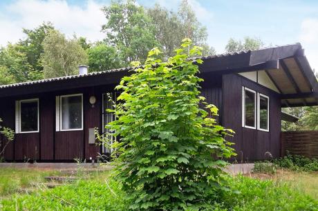 Holiday home Denmark - : 