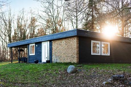 Holiday home Denmark - : 