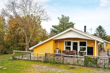 Holiday home Denmark - : 