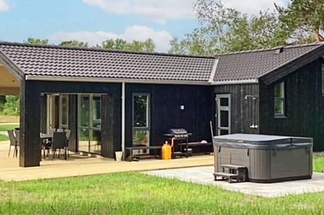 Holiday home Denmark - : 