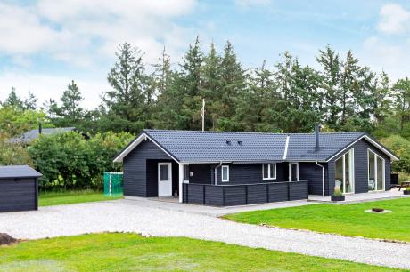 Holiday home Denmark - : 