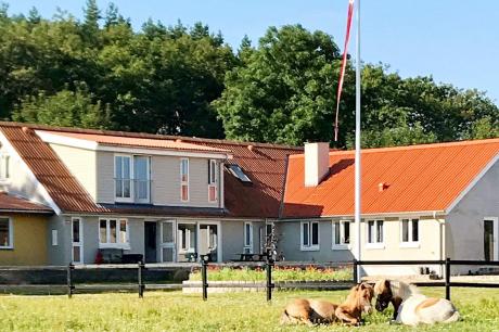 Vakantiehuis Denemarken - : 