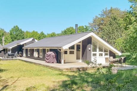 Holiday home Denmark - : 