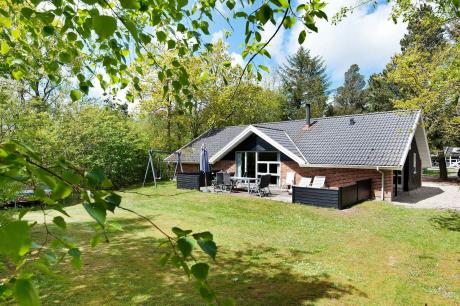 Holiday home Denmark - : 