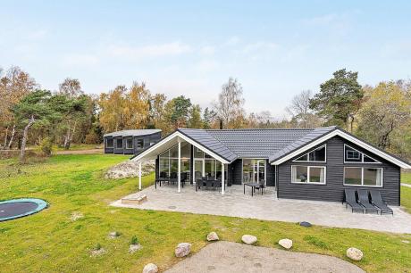 Ferienhaus Denemarken - : 