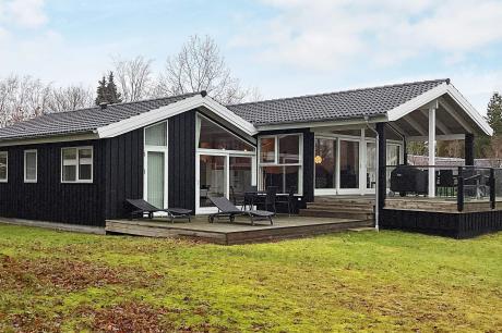 Holiday home Denmark - : 