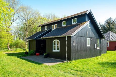 Vakantiehuis Denemarken - : 