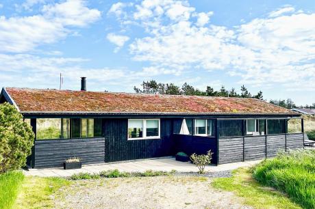 Holiday home Denmark - : 