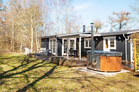 Ferienhaus Denemarken - : 