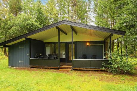 Holiday home Denmark - : 