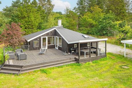 Holiday home Denmark - : 