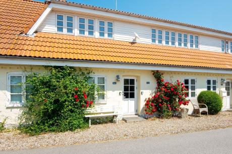 Ferienhaus Denemarken - : 