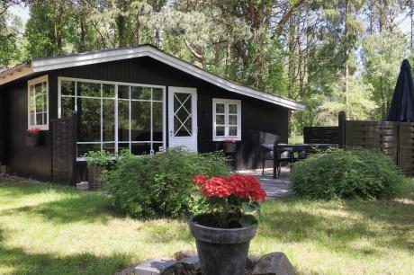 Holiday home Denmark - : 