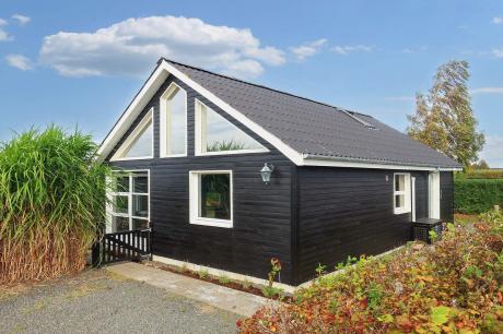 Holiday home Denmark - : 