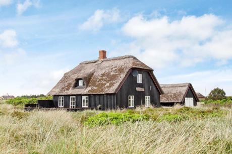 Holiday home Denmark - : 