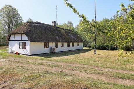 Ferienhaus Denemarken - : 