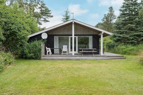 Holiday home Denmark - : 