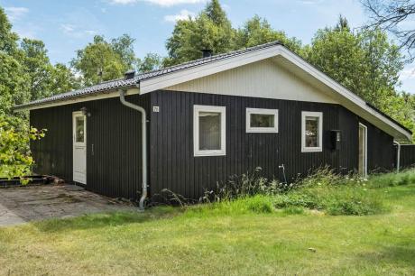 Holiday home Denmark - : 