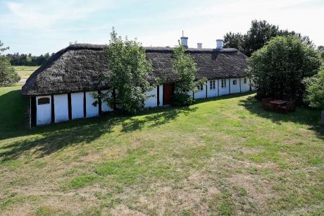 Ferienhaus Denemarken - : 