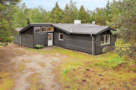 Holiday home Denmark - : 