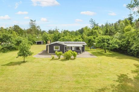 Holiday home Denmark - : 