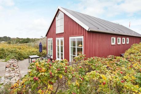 Holiday home Denmark - : 