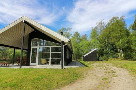 Holiday home Denmark - : 