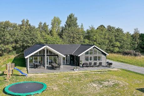 Holiday home Denmark - : 